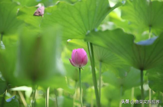 西安旅游攻略大全坐地铁,西安地铁旅游攻略三日游