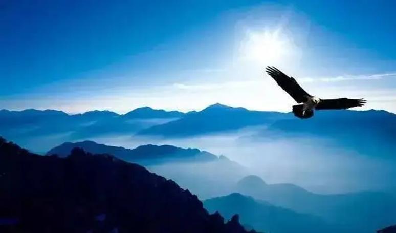 财散人聚的经营之道,管理那点事全集