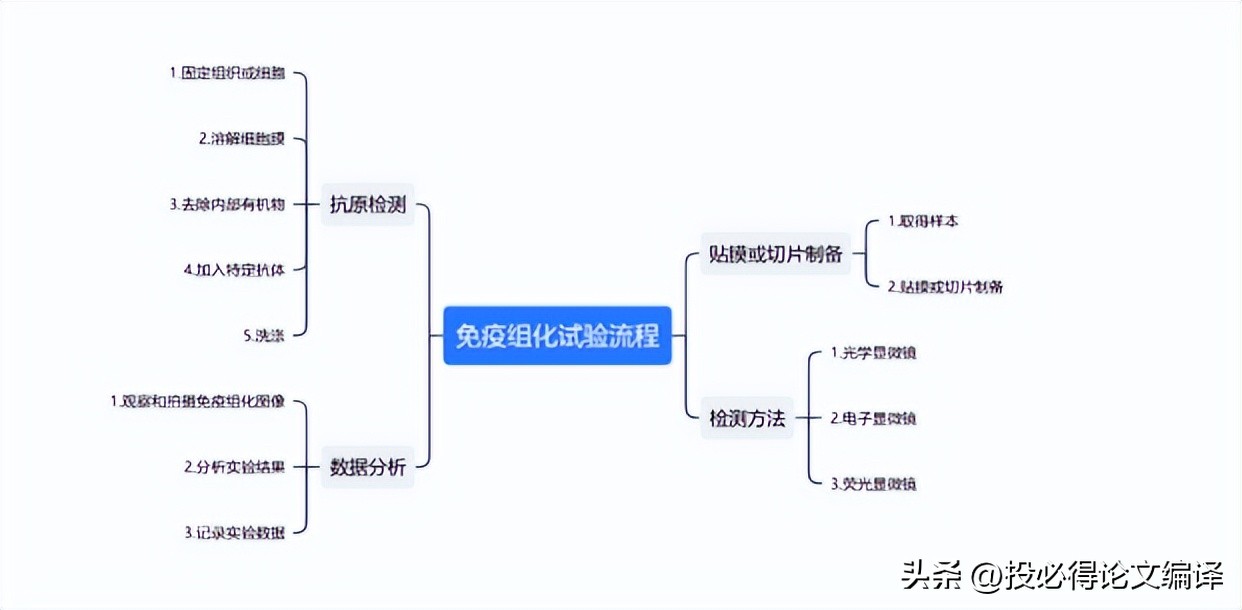 ai导图免费,最强的ai作图工具