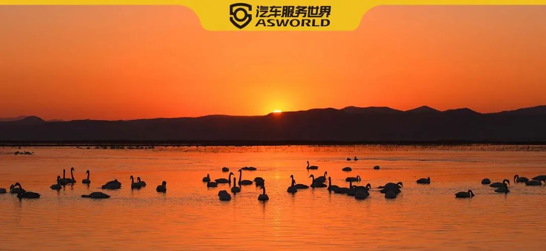 倒闭的汽车4s店有哪些,全国倒闭多少家汽车4s店