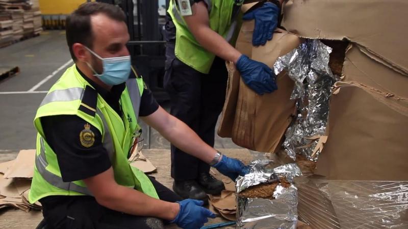 总量超过1377吨！*私走**烟让澳洲损失惨重，亚洲成主要“输入地”