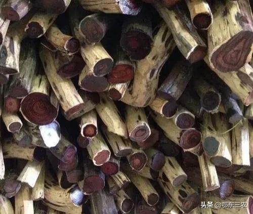 黄花梨老料一斤一万元真的假的,海南黄花梨1千块钱左右的