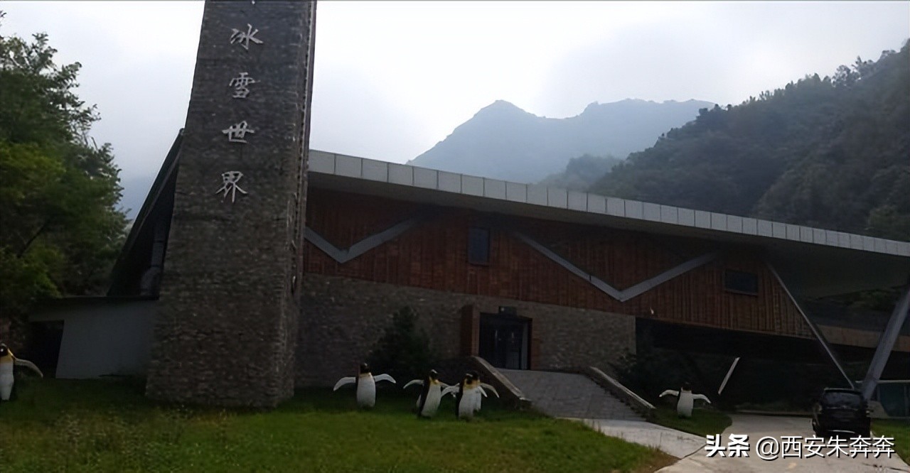 翠华山爬山攻略,翠华山爬山攻略一日游