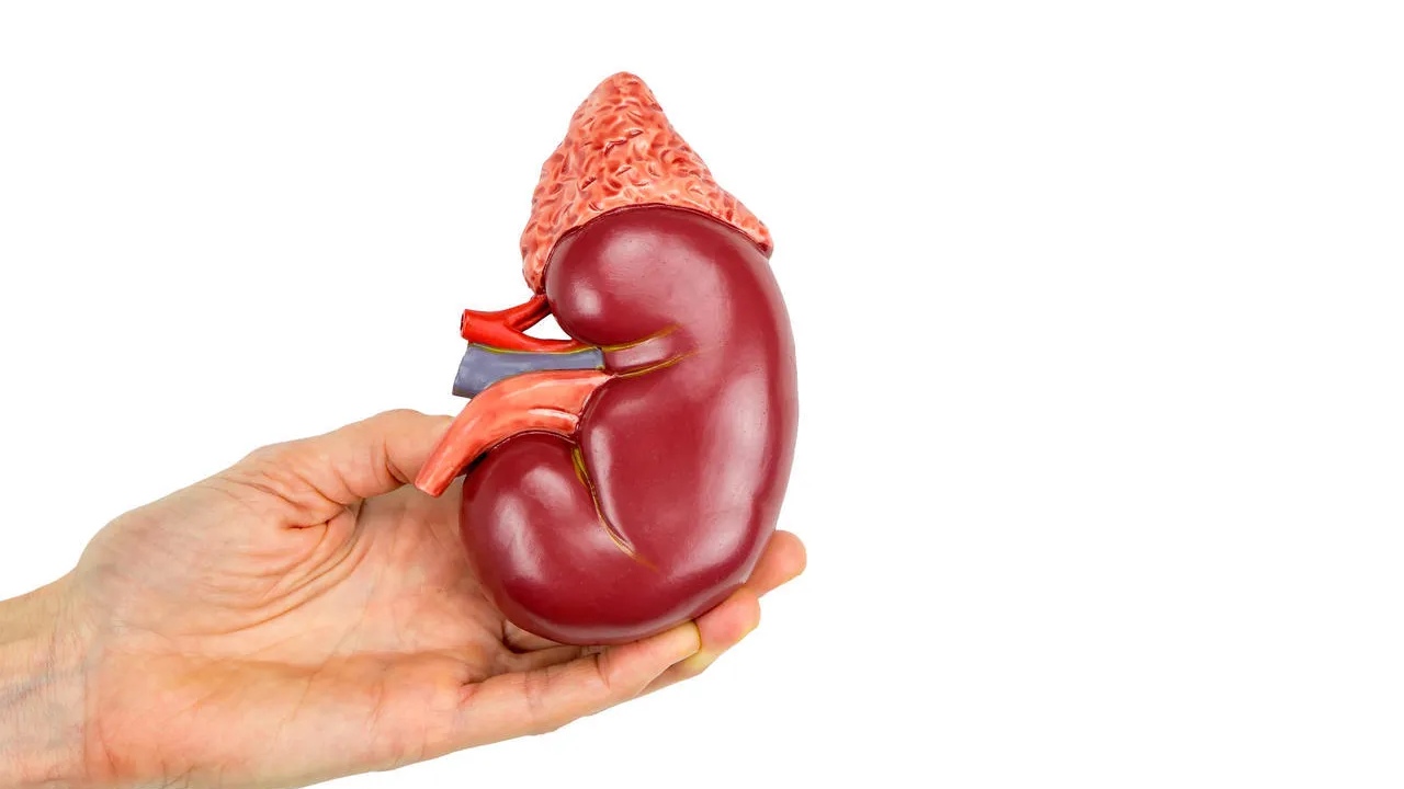 右边腰痛要警惕四种原因,做事腰痛是什么原因引起的