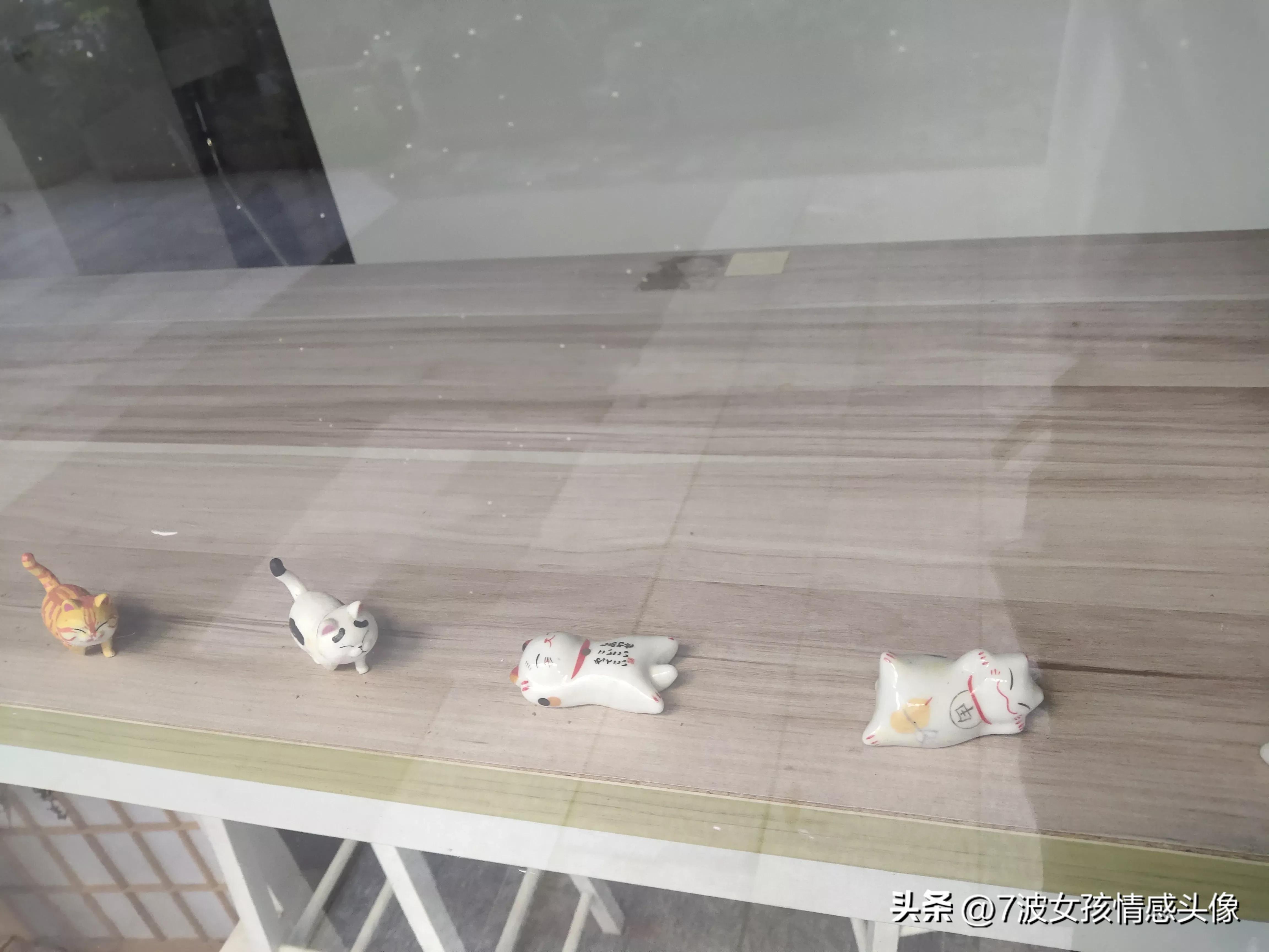 没有感同身受万般皆苦唯有自渡,没有人可以感同身受全靠自己度过