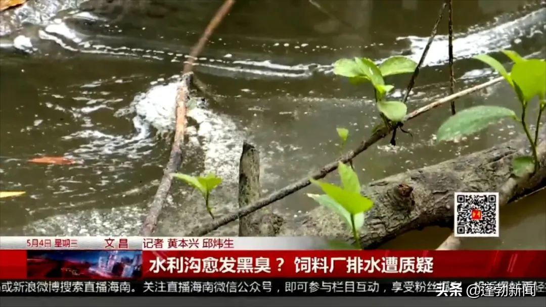 海南文昌臭水沟,文昌市水污染