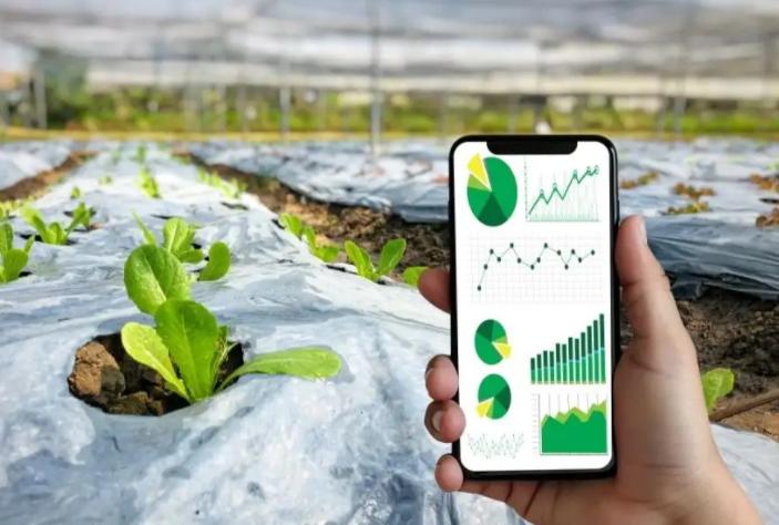 现代农业科技助力乡村振兴发展,农业科技助力农民增收