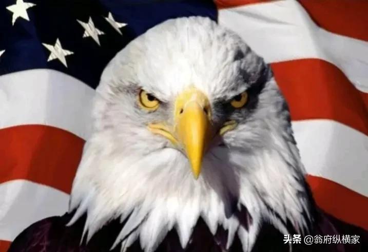 知己知彼百战不殆什么性格,知己知彼百战不殆的历史战役