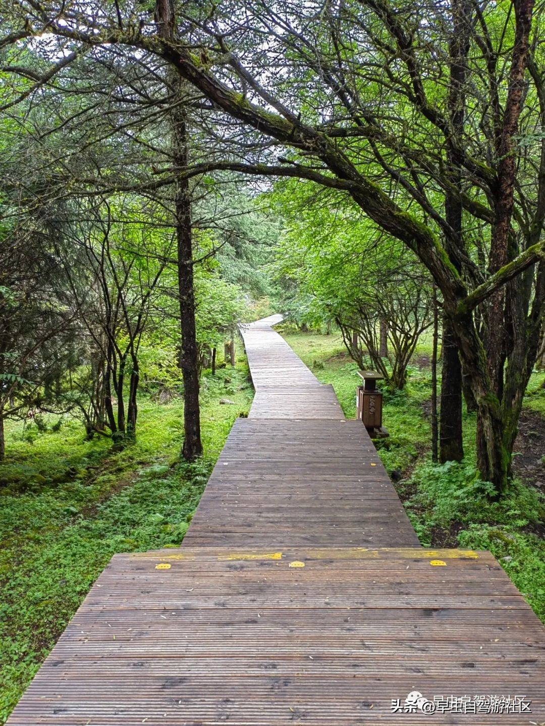 四姑娘山旅游自由行攻略,四姑娘山旅游攻略一日游