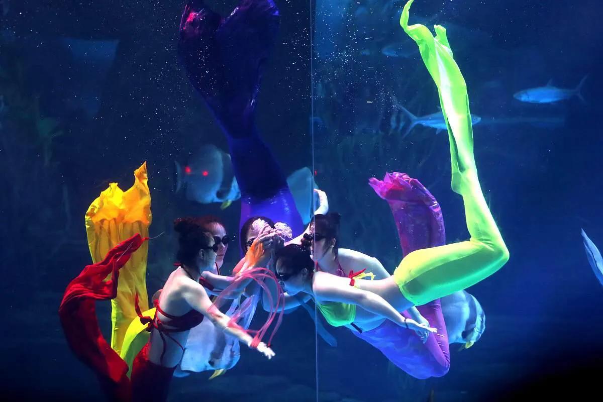 游客三亚潜水被强制拍照,三亚潜水游客遭强行推销求线索