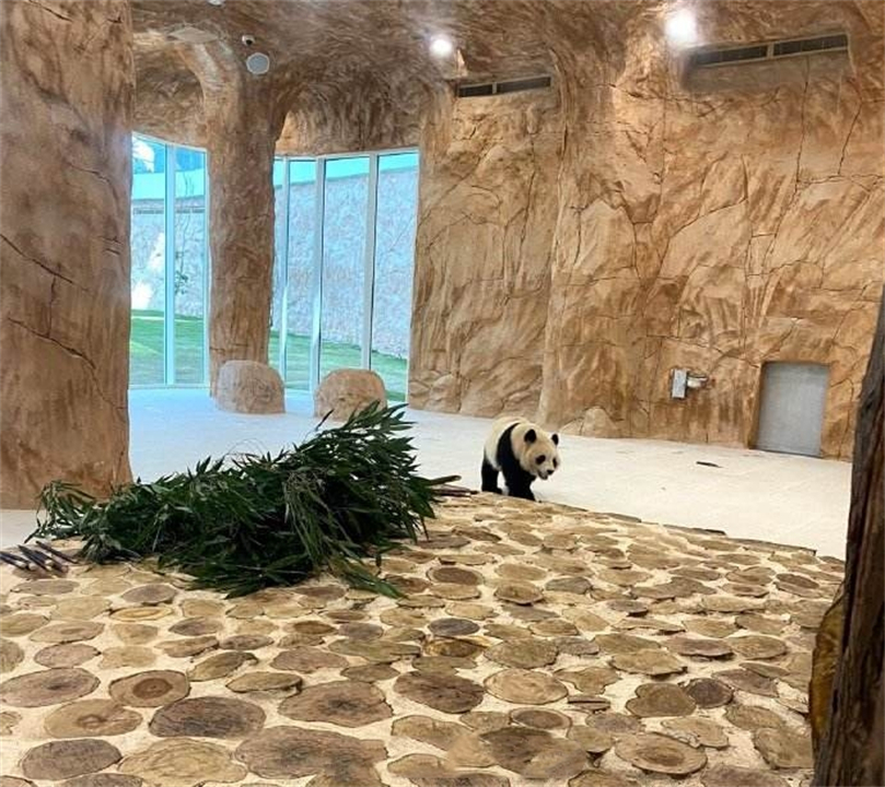 中国制造赢麻了?卡塔尔耗资2200亿办世界杯,举目皆是中国元素