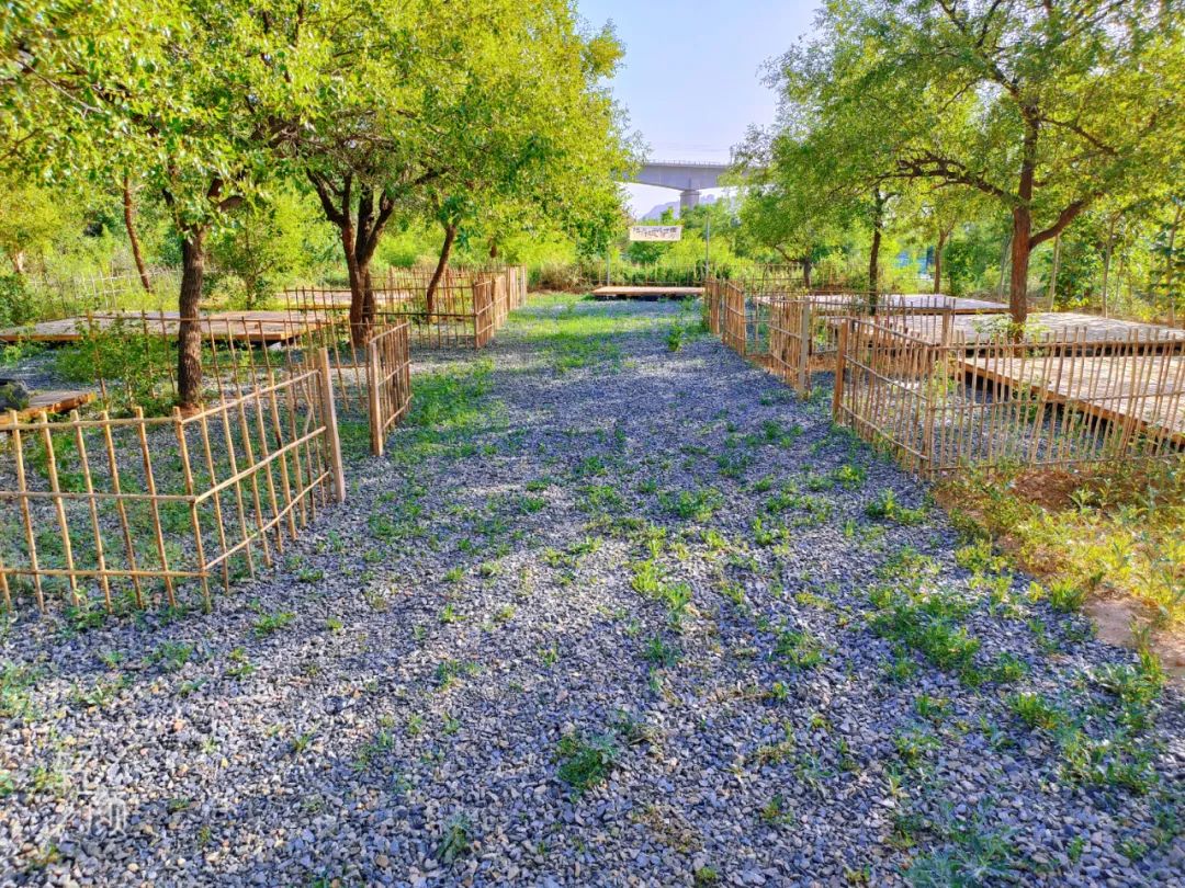 永靖盐锅峡小茨村规划,甘肃永靖盐锅峡小茨村木栈道