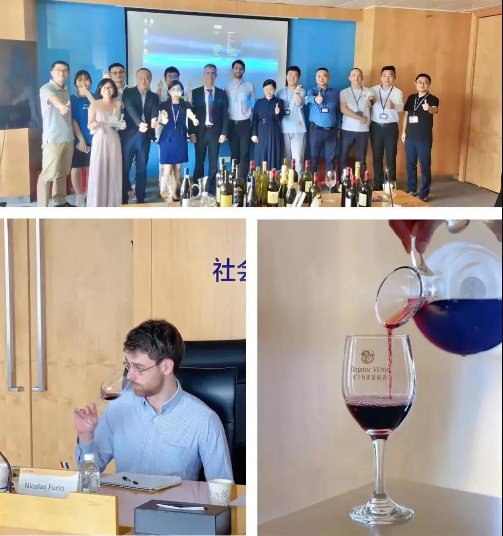 威龙葡萄酒曝光,威龙葡萄酒哪款性价比高