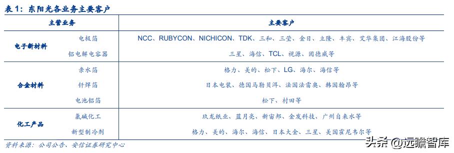 新能源铝箔龙头企业,遵义市东阳光新能源铝箔有限公司