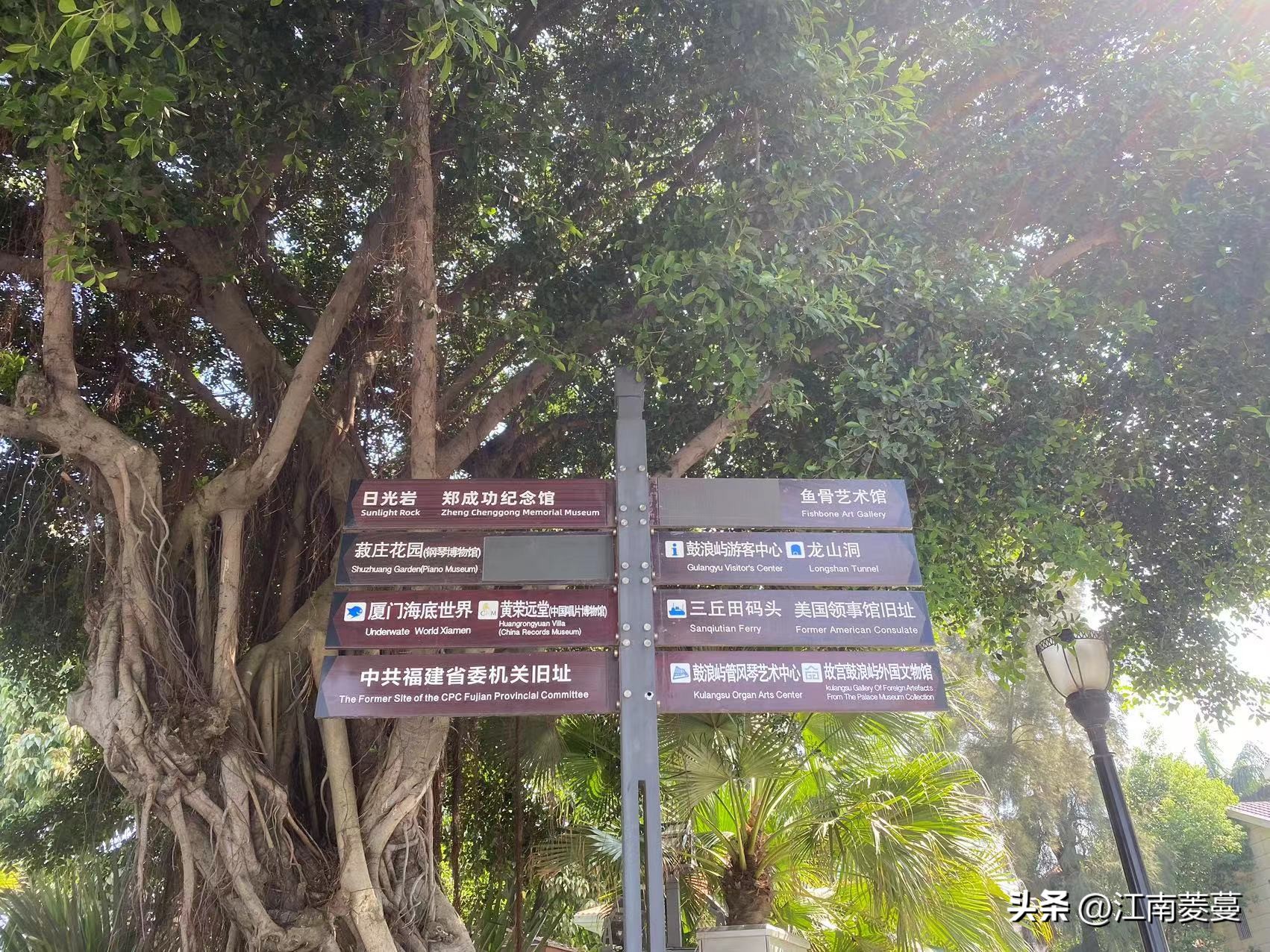 为什么那么多人选择去厦门旅游,浙江海岛和厦门哪里值得去