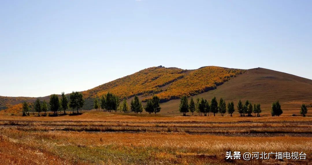 十月中旬去承德旅游,承德坝上十月一旅游攻略