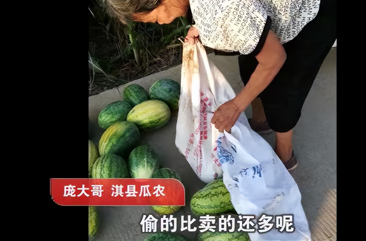 瓜农抓了偷瓜贼一人罚2个西瓜,瓜农抓到偷瓜贼却要倒赔300元