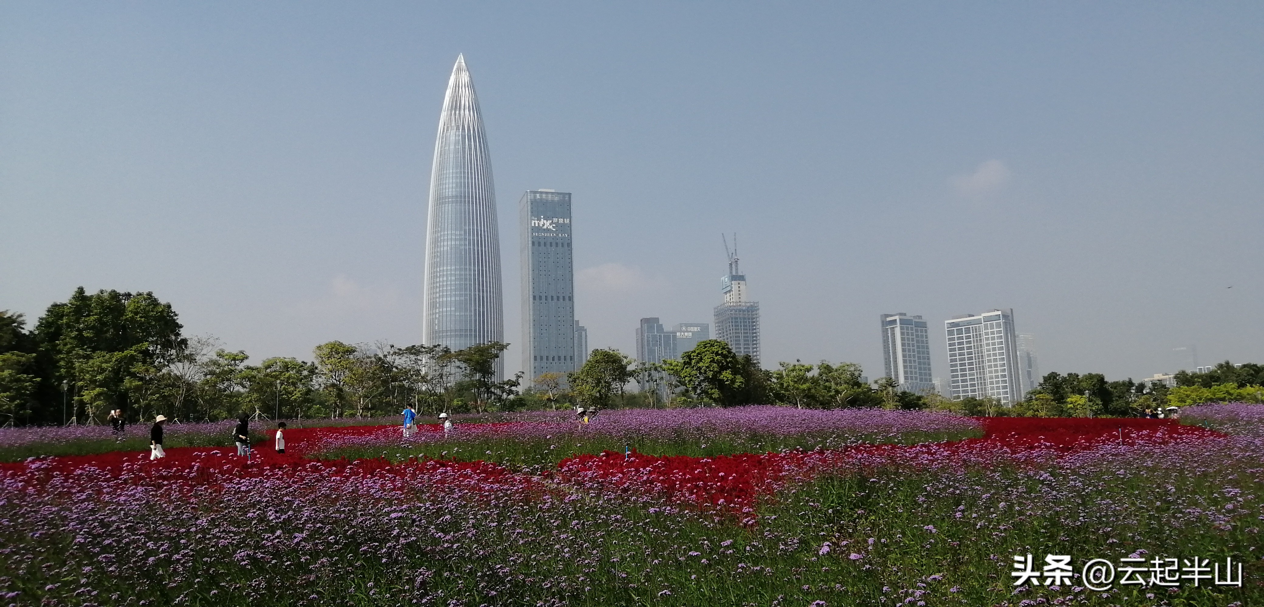 浅浅地玩、深深的圳