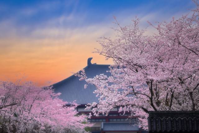 直播间冲动消费段子,直播间冲动消费买衣服