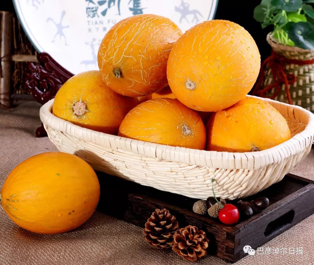 巴彦淖尔河套学院,河套学院新生入学攻略