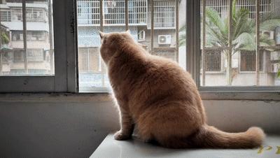 手机拍短片,很有创意的一个短片