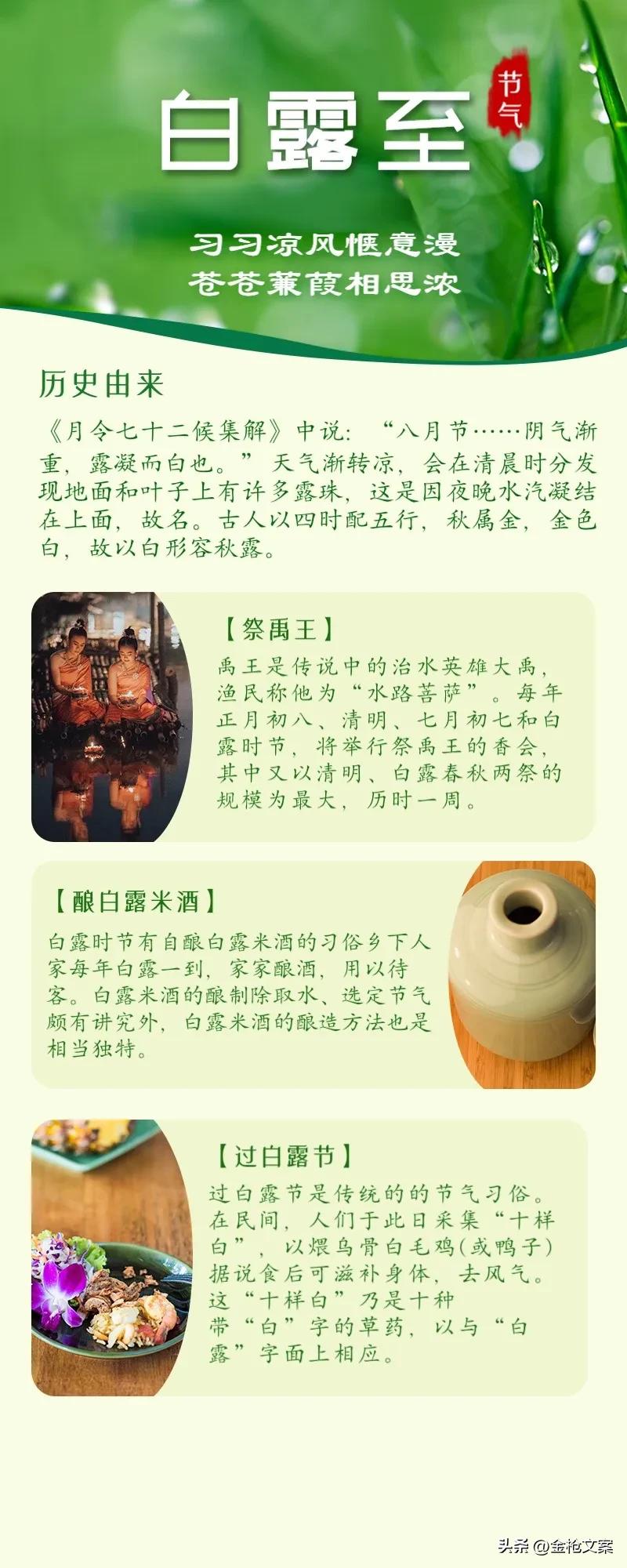 蒹葭苍苍白露为霜是否形容节气,蒹葭苍苍白露为霜最有诗意的节气