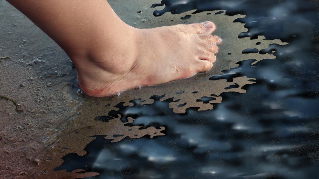 盘点十种神奇动物的价格,盘点五种有巨毒的生物