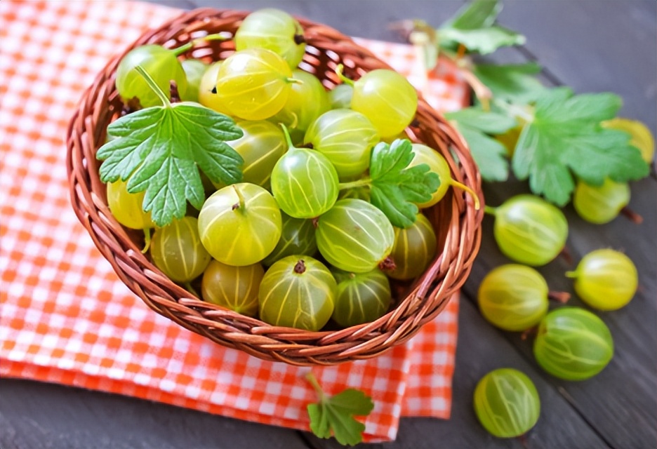 类似灯笼果的植物果实,灯笼果是什么水果品种