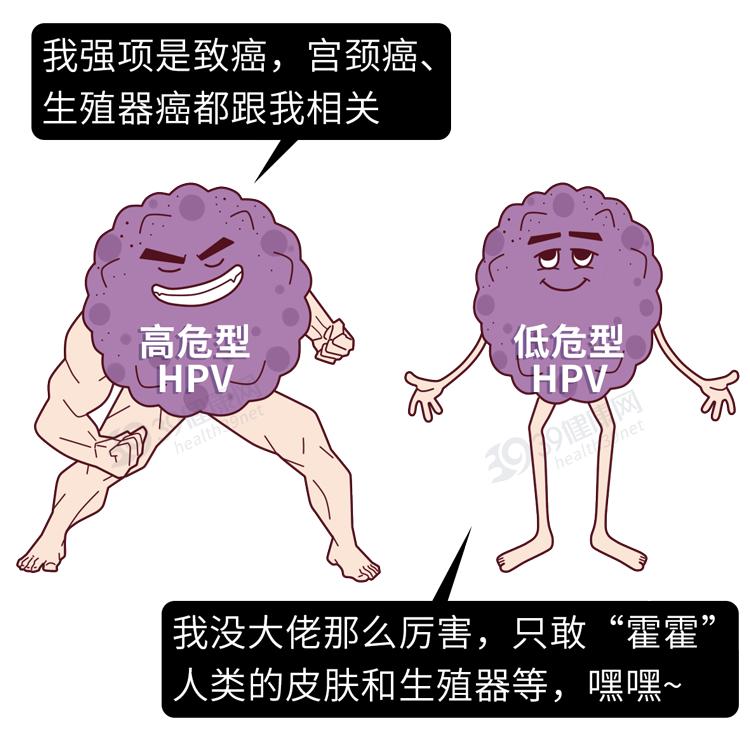 腋下长小肉粒是hpv感染吗,腋下长了一个丝状疣一定是hpv吗