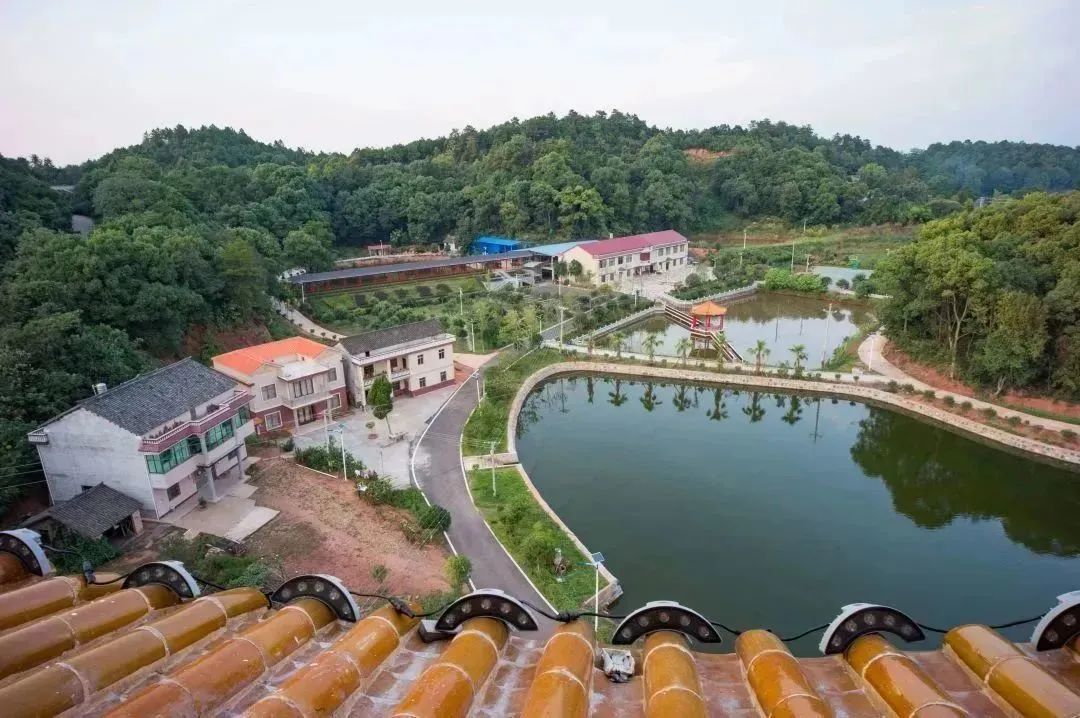 乡村振兴36个案例,中国乡村振兴的前景及产业化解读