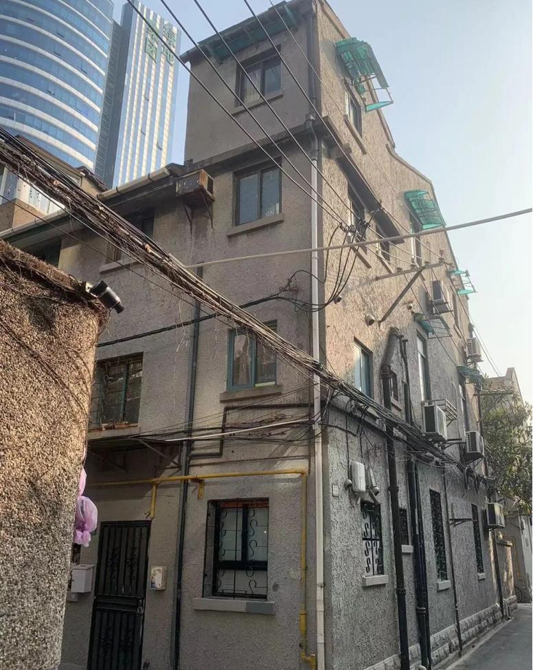 买上海地产的钱买赛鸽，李梅龄培育李种之中国顶尖社群聚居区