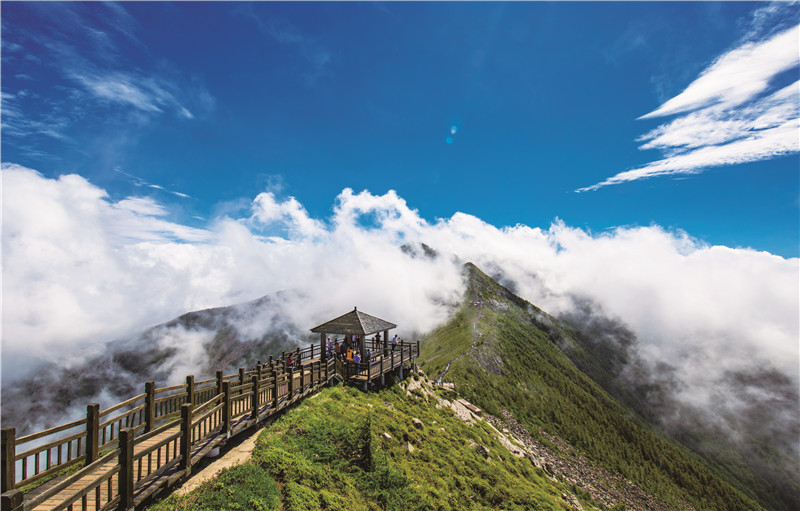 门票免费、半价！宝鸡2023年暑期旅游优惠政策及线路发布