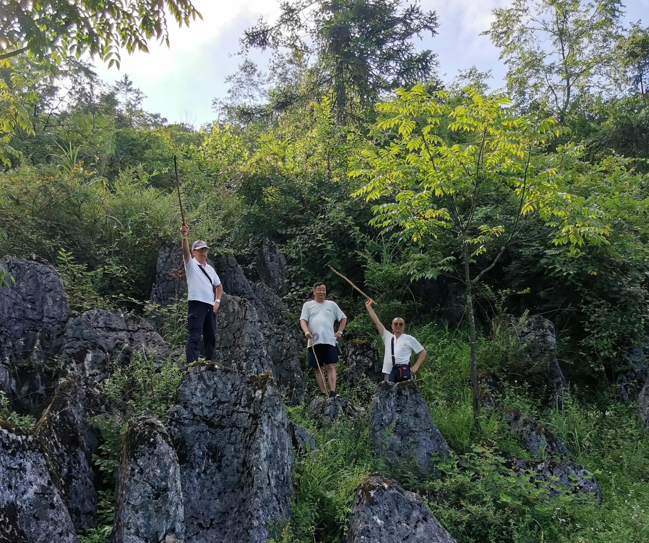 桐梓楚米避暑海拔高的地方,贵州桐梓楚米避暑哪家好