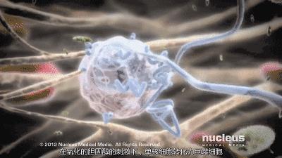 肠道菌群检测有哪些科研方法,肠道菌群检测可以查出哪些疾病