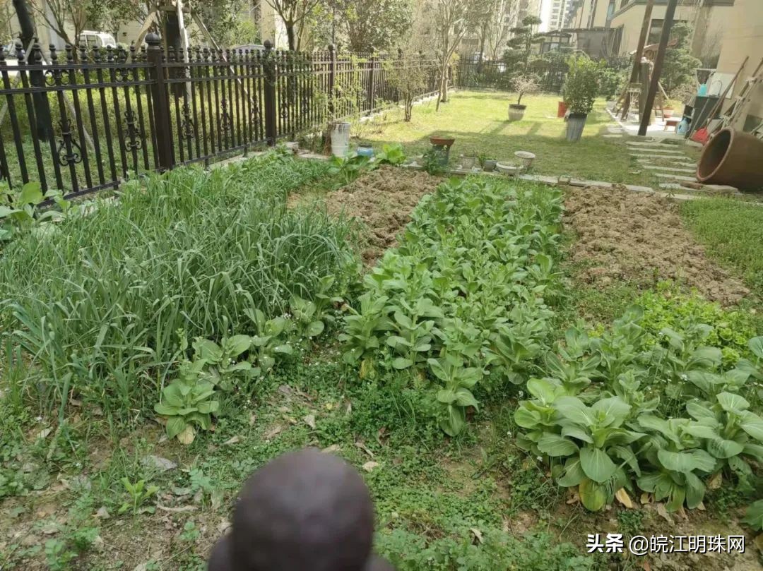 芜湖整治物业的原因是什么,芜湖这42家小区物业被约谈