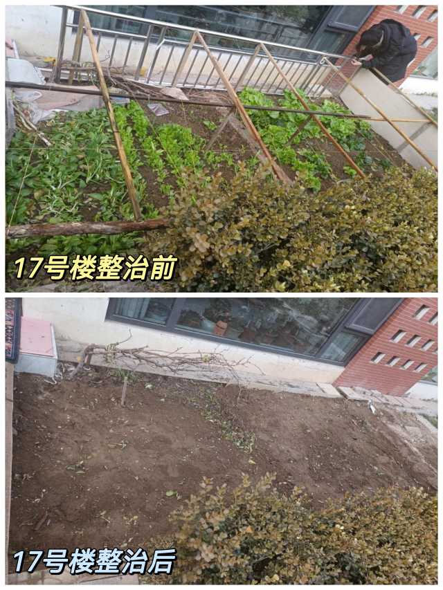 银川湖畔嘉苑小区简介,银川市湖畔嘉苑小区