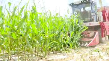 “我们这十年”丨崆峒：“畜”势勃发“牧”歌欢唱