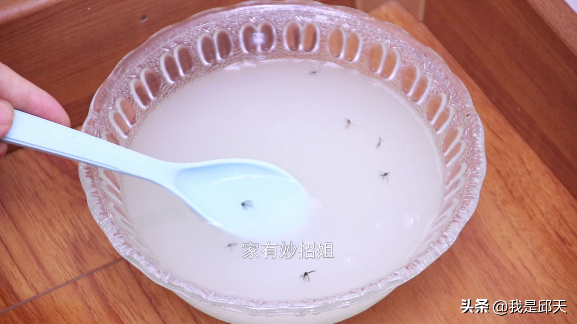 教你一招蚊子全都灭光光,家里蚊子特别多有什么好办法灭杀