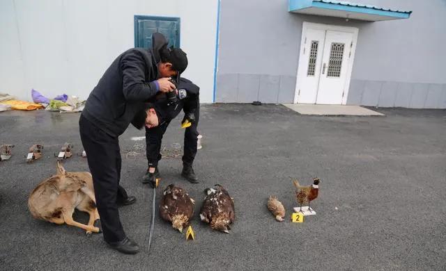 将严查农村这三种行为,明年农村严查哪些行为