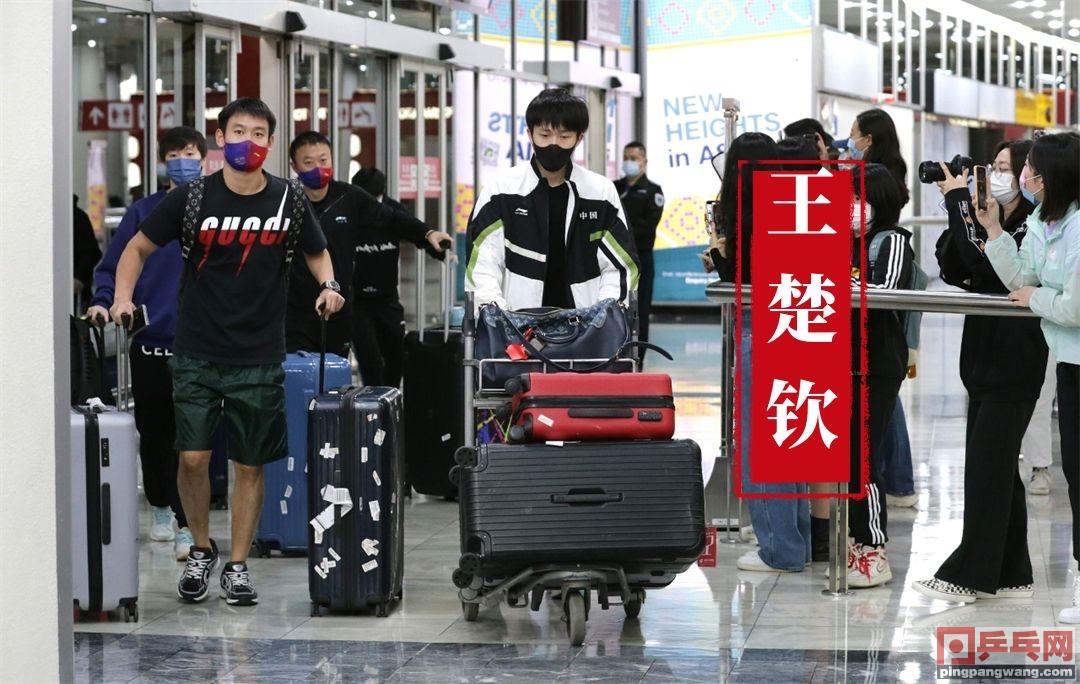 马龙王楚钦澳门世界杯孙颖莎,樊振东马龙孙颖莎王楚钦