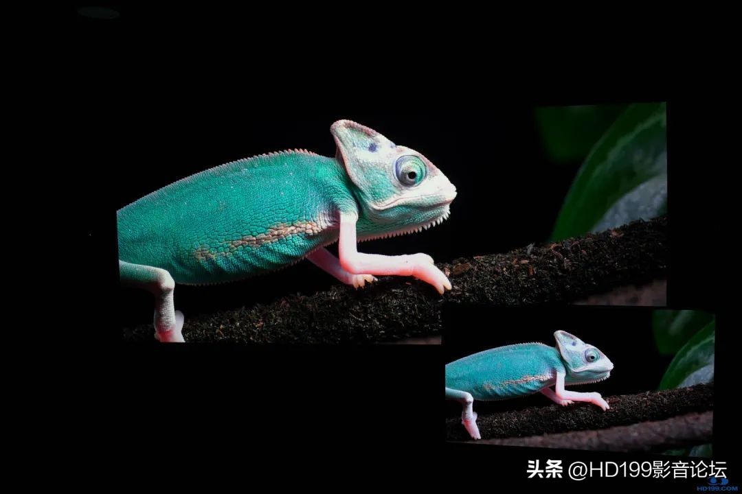 jvcn98和jvcn118实际效果差别大吗,jvcn118配什么幕布