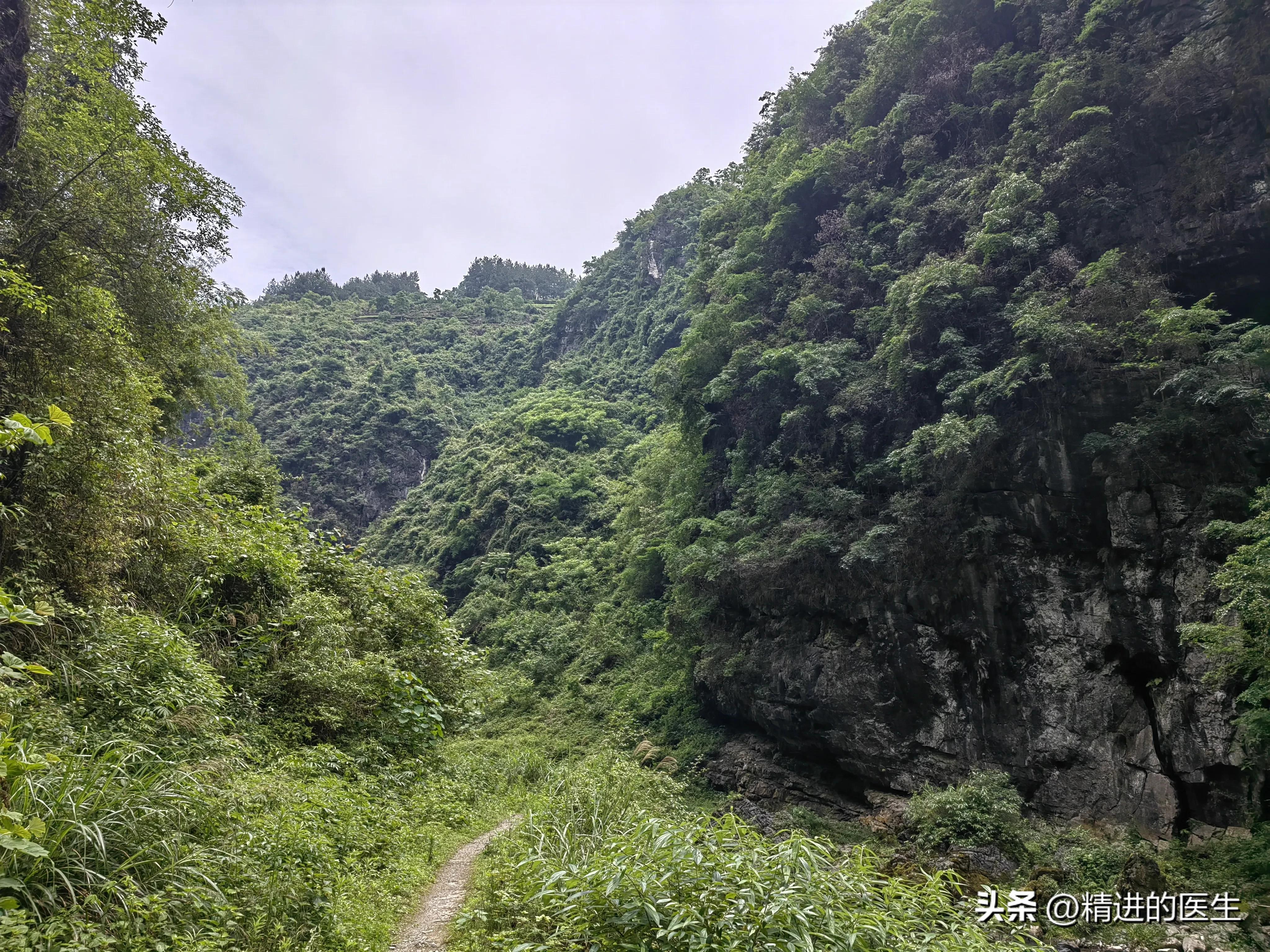 回想下乡的时候,时常怀念下乡的生活