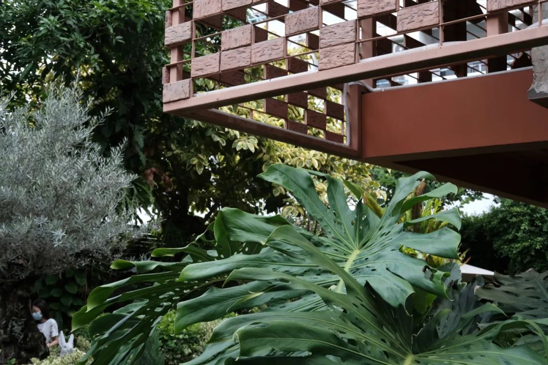 谁懂啊,泰国也太好逛了!