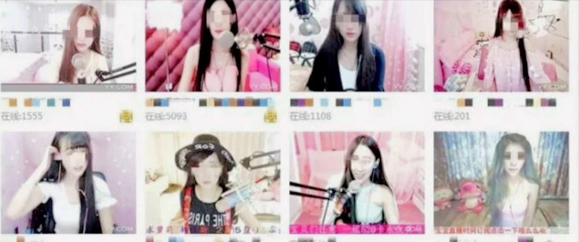 藏獒:中国的郁金香泡沫