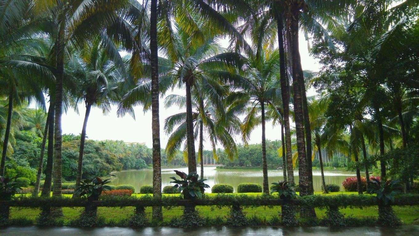 海南东海岸全攻略,海口万宁三亚的景点推荐