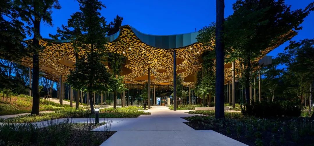 与藤本壮介一起走进金色叶子‘殿堂’，匈牙利音乐之家