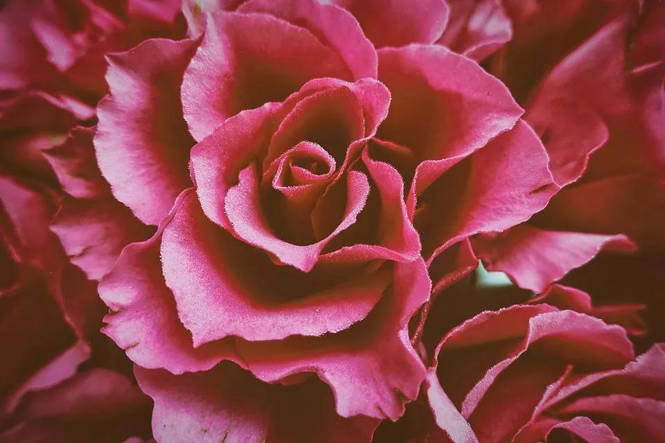 520适合发朋友圈的配图爱情,入目无别人四下皆是你英语