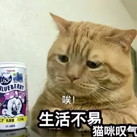 安徽学前教育专升本院校有哪些,2021安徽学前教育专升本分文理吗