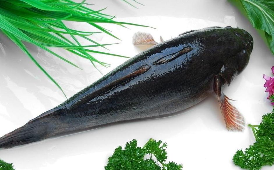 80亩水塘养鱼一年能挣多少钱,老汉养鱼年入千万