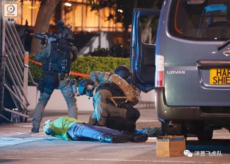 虎年说虎科普视频,虎年说虎运用了哪些说明方法